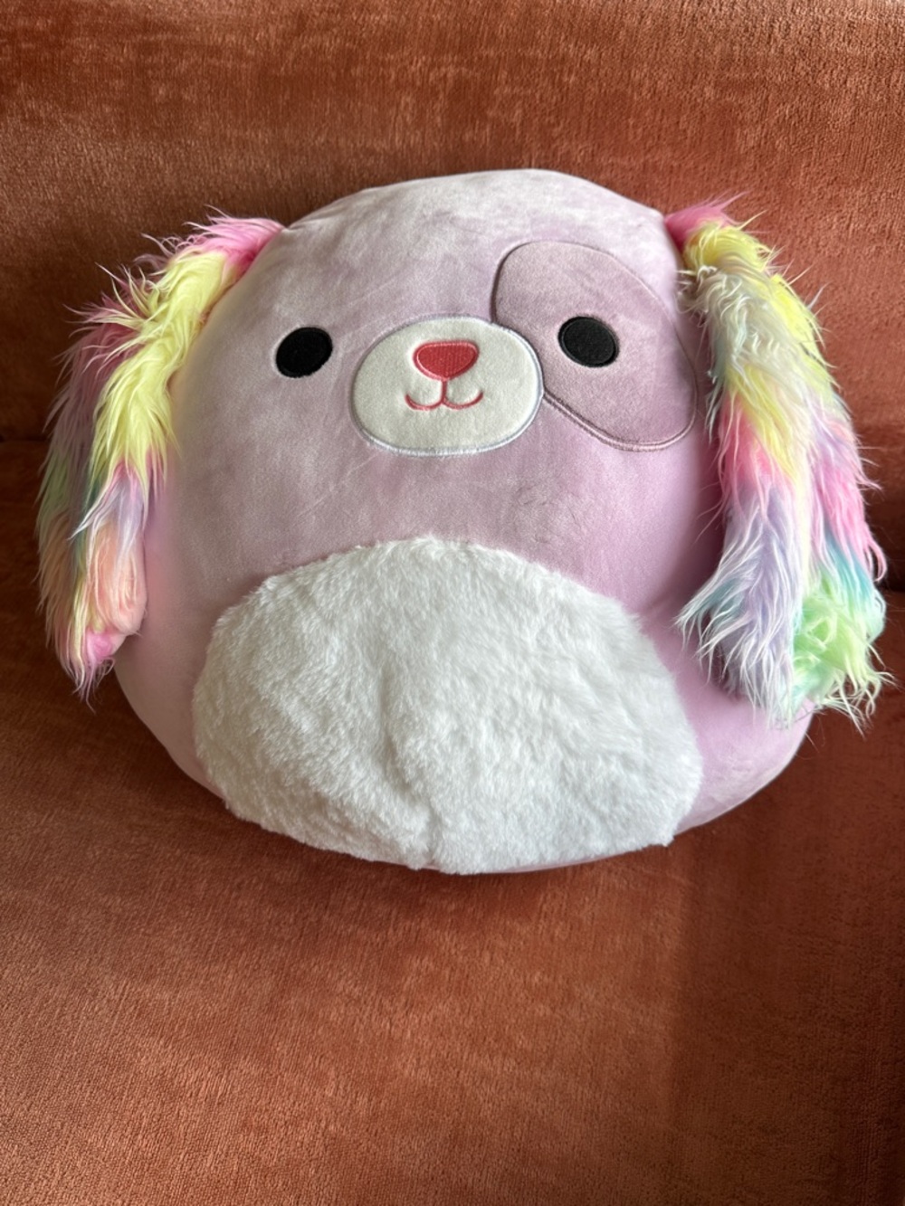 Squishmallows 16 in Barb the Dog